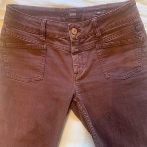 Closed burgundy denim Jeans